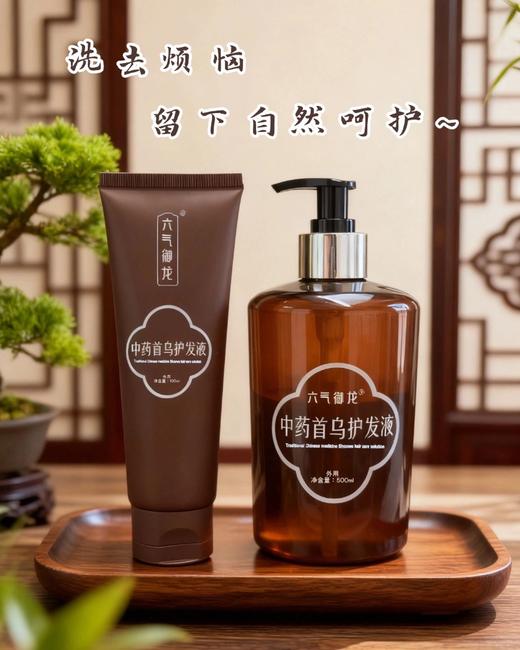 纯中药洗发水、固发草本无硅油植物中药洗发液 | 无月桂醇，温和滋养，「蓬」然新生 商品图2