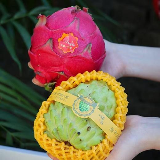 ♥️海南红心火龙果 · 自然熟 · 不催熟 · 不用保鲜剂 商品图3