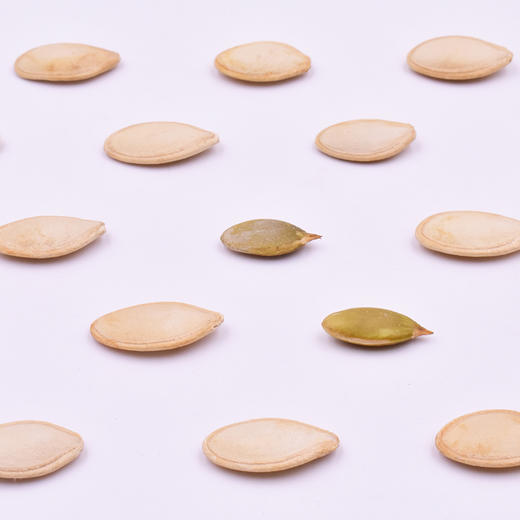 带壳熟南瓜子  454g/罐 商品图1