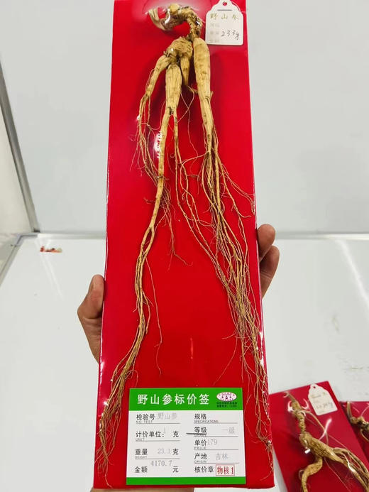 ＃山参*年年好评＃国药老字号，杭检野山参，正宗正品标价牌齐全，一支一价，对号购买 商品图8