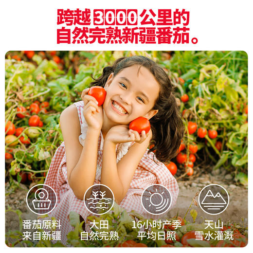 【番时番】番茄浓汤调味料 配料表超干净 精选自然完熟的新疆番茄 露天种植的番茄滋味 商品图1