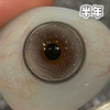 #cocoa pie 牛乳奶泡 浅灰色 14.5mm【1片装】舒适推荐 / 半年抛 商品缩略图3