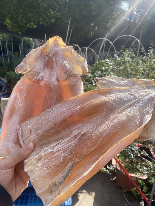 北海淡干大号鱿鱼干  手工晾晒  鲜美 营养丰富 品质一样，论斤不论个，介意慎拍哦~ 商品图1