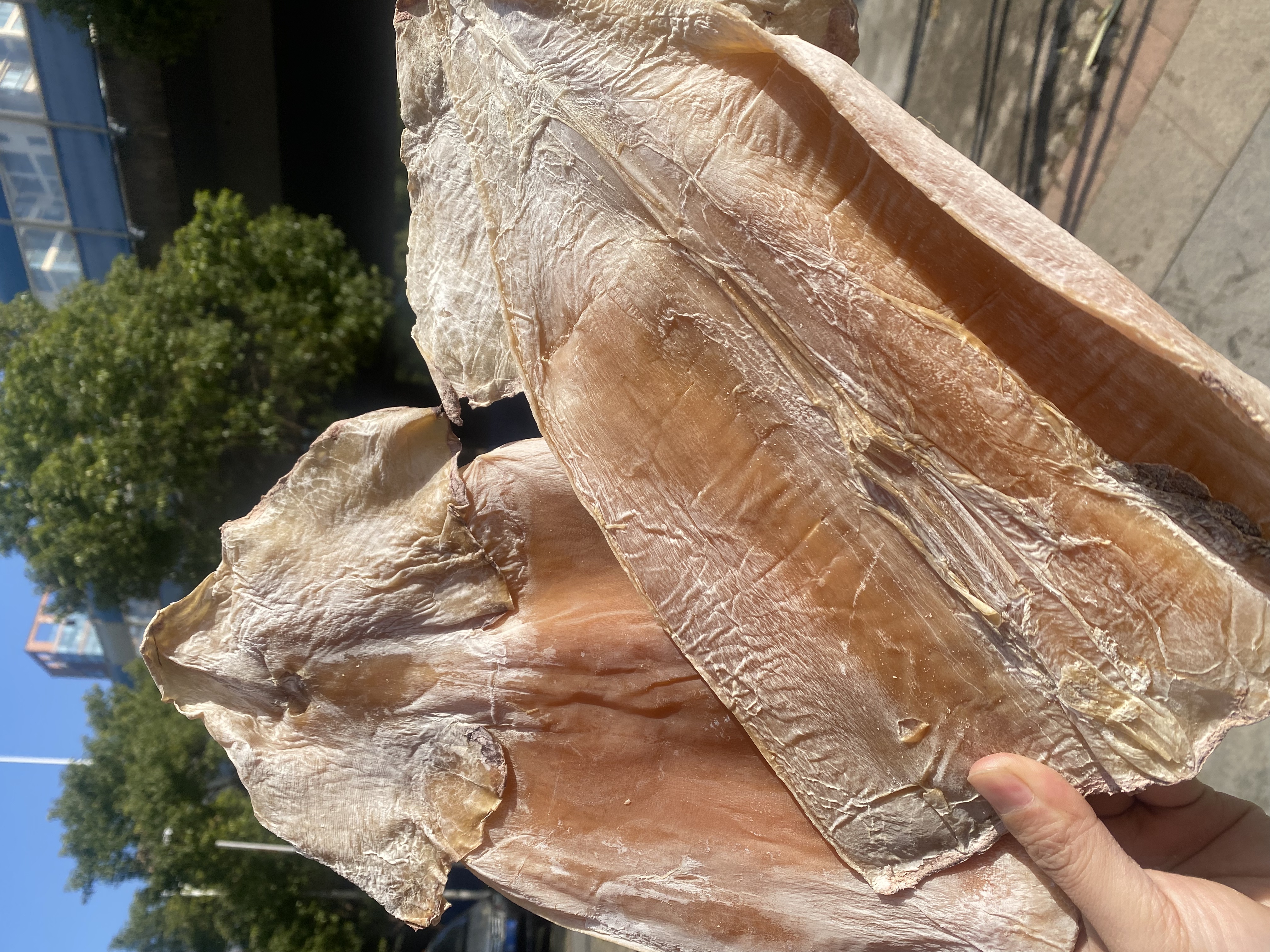 北海淡干大号鱿鱼干  手工晾晒  鲜美 营养丰富 品质一样，论斤不论个，介意慎拍哦~