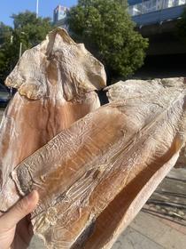 北海淡干大号鱿鱼干  手工晾晒  鲜美 营养丰富 品质一样，论斤不论个，介意慎拍哦~