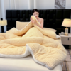 🟤限时促销⚠️【出口澳洲塔芙绒羊羔绒加厚多功能冬被】☑比你想象中的被毯更柔软！！😍不信你试试 可以贴身裸睡 ！ 💜加厚加密 不掉毛不褪色💕 符合澳洲出口标准！ 商品缩略图1