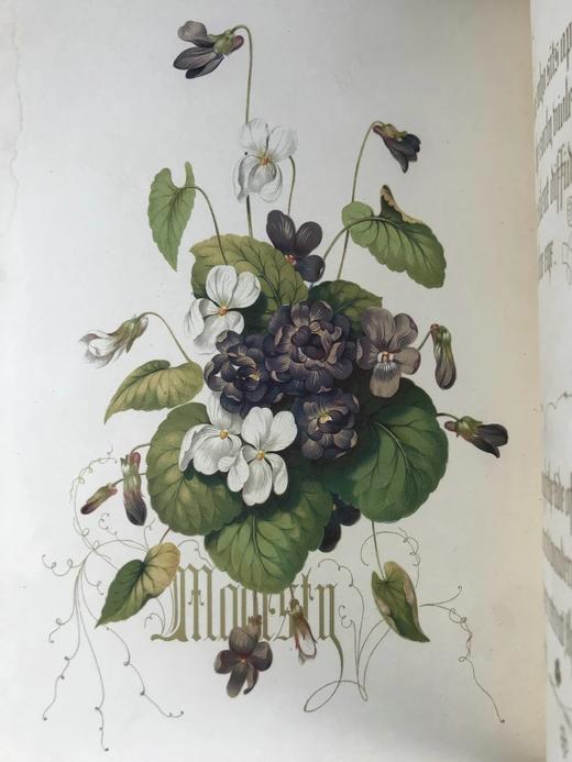 1848年 欧文琼斯 花朵与它们的千思万绪 10余幅精美套色版画 皮革浮雕艺术装帧精装16开 商品图6