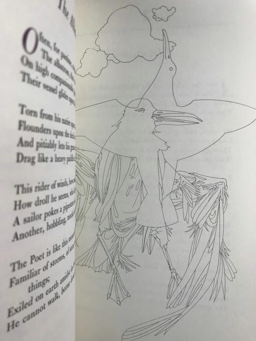 含藏书票限量版！波德莱尔《恶之花》 配插图 豪华皮装18开 商品图5