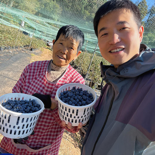 云南【高原花香蓝莓】蓝莓天花板，超好吃！稀有品种，香甜爽口，果味浓郁带花香，顶尖口感，99％吃过都会回购的高原蓝莓！ 商品图4