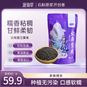 滋仙草严选墨江紫米500g/袋