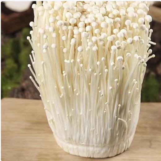 【QT】新鲜金针菇新鲜菌菇 煲汤凉拌烧烤食材 商品图0