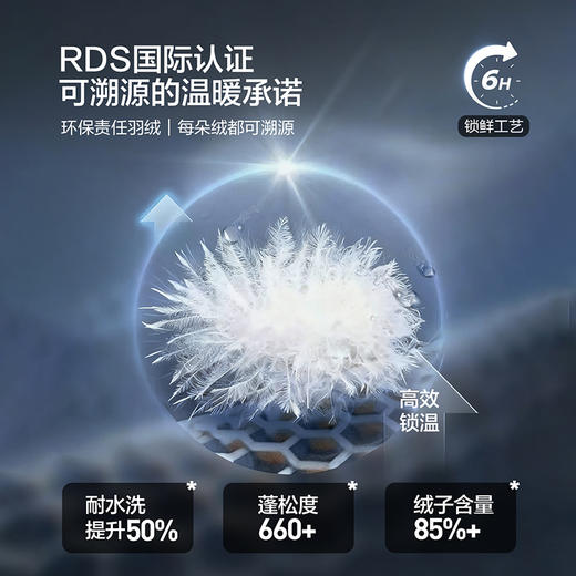 【黄金鲜羽绒】柒牌白鸭绒羽绒服外套男工装夹克休闲保暖商务男装129E71040 商品图2