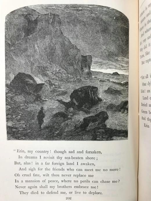 1892年 十九世纪诗人作品集 145幅版画插图 漆布精装32开 商品图14