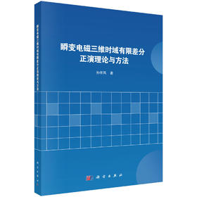 瞬变电磁三维时域有限差分正演理论与方法