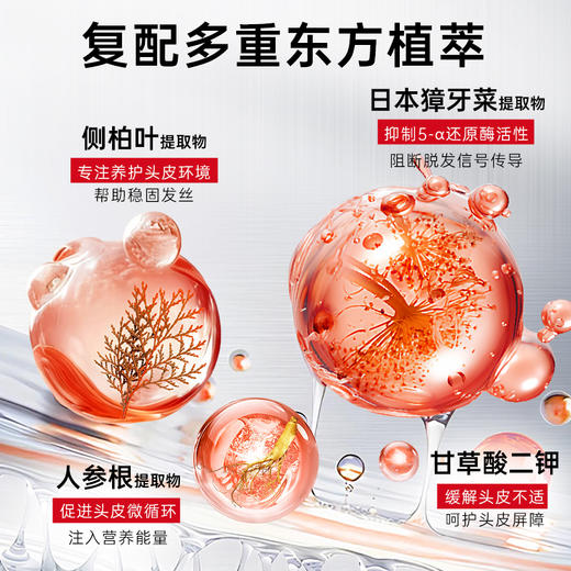 【中欧班列精选】hm日本进口 卡蓓诺 赋活防脱洗发水（男士专用） 350ML 商品图3