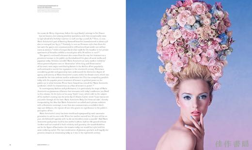Marie Antoinette Style / 玛丽·安托瓦内特风格图鉴 商品图2