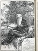 1889年 女孩杂志 数百幅精美插图 漆布精装16开 商品缩略图13