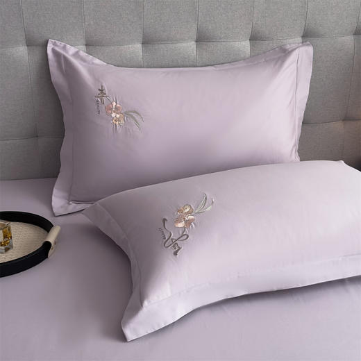 三泰龙 秋冬新品加厚保暖100全棉磨毛床上四件套纯棉长绒棉绣花被套678457Q 商品图3