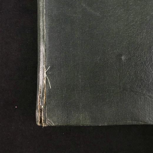 约20世纪早期 植物图鉴与名称（全2卷合订1册） 千余幅插图 精装16开 商品图2