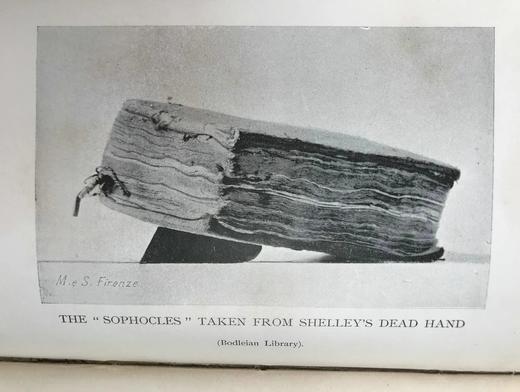 1898年 雪莱的最后时光 19幅插图 漆布精装32开 商品图13