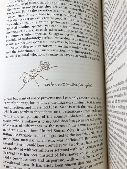 限量版！含藏书票 查尔斯・达尔文《物种起源》 配插图 富兰克林图书馆豪华皮装本 商品图8