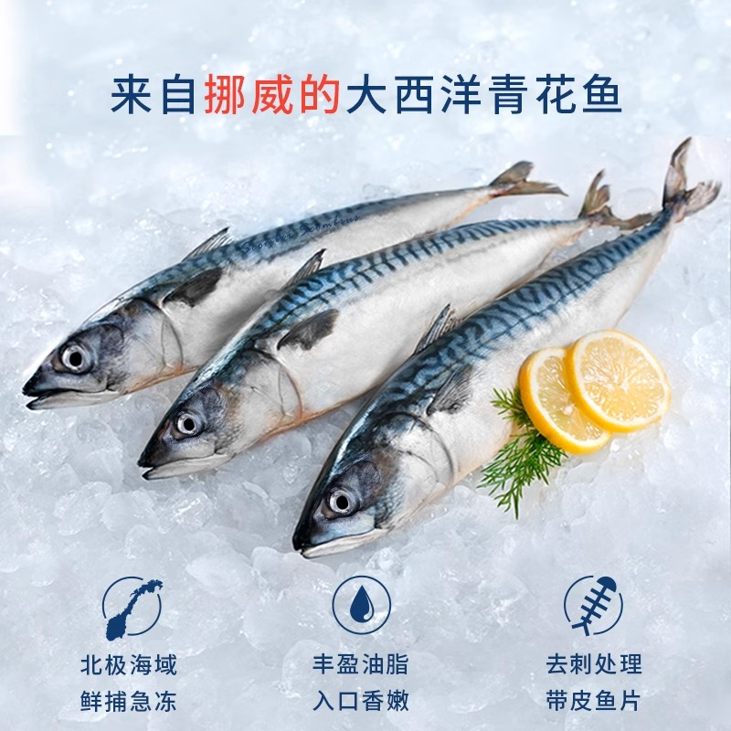 挪威进口 高纯大西洋原生鲭Scomber 野生青花鱼 纯净海域野生 非养殖 鱼油含量高达30% 船冻锁鲜 口感鲜嫩多汁
