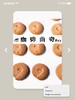 咖啡曲奇/香草曲奇/巧克力曲奇 商品缩略图1