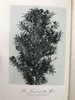 1910年 康诺尔德《自然之域拾珍》 26幅插图 真皮精装32开 商品缩略图2