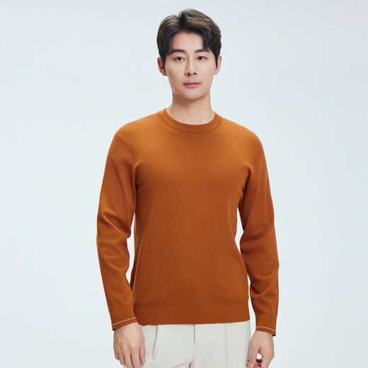 【门店同款&含绵羊毛】圣得西2025年冬季毛衫青年男可机洗针织衫 商品图2