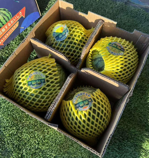 小兰冰淇淋西瓜，酥脆甜
拿到手沉甸甸的 每颗都圆滚滚饱满
挺新鲜的皮薄果肉细腻
咬下第一口直西瓜汁嘴里爆开💦
甜到到了嗓子眼那种！
榨汁喝也好好喝啊
3.5-4.5斤/个 商品图3