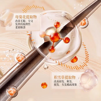 同仁堂南京同仁堂防脱固发育密发洗发水套装侧柏叶生姜何首乌洗发水 /个人护理 /洗发护发 /洗发水 商品图2