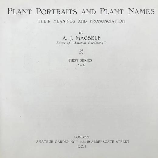 约20世纪早期 植物图鉴与名称（全2卷合订1册） 千余幅插图 精装16开 商品图4