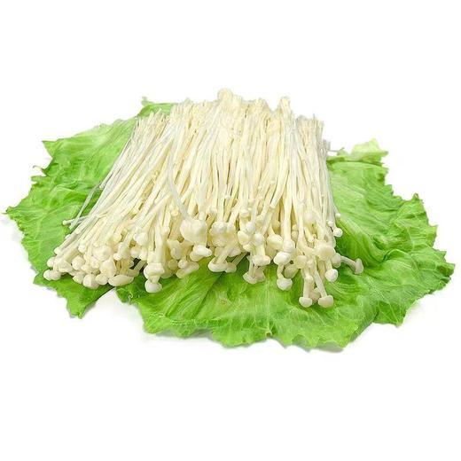 【ZCWJ】新鲜金针菇 菌香浓郁 商品图0