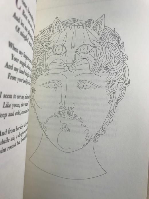 含藏书票限量版！波德莱尔《恶之花》 配插图 豪华皮装18开 商品图8