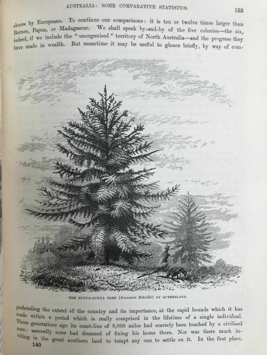 约19世纪后期 罗伯特·布朗宁《世界各国》（卷4） 约百幅版画插图 漆布精装16开 商品图8