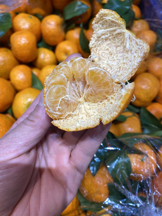 宏丰精选 砂糖橘新鲜到货，带叶果，很新鲜，口感很好，活动价4.8元一斤 商品图4