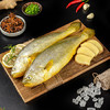 三都港 冷冻黄花鱼净重600g/2条装 宁德大黄鱼 海鱼 生鲜鱼类 海鲜水产 商品缩略图2