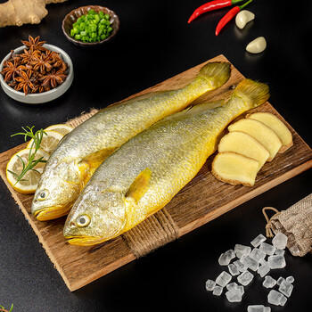 三都港 冷冻黄花鱼净重600g/2条装 宁德大黄鱼 海鱼 生鲜鱼类 海鲜水产 商品图2