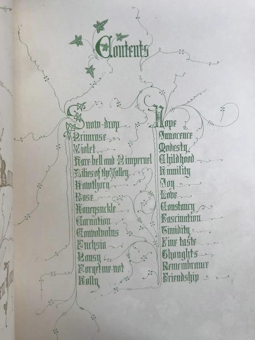 1848年 欧文琼斯 花朵与它们的千思万绪 10余幅精美套色版画 皮革浮雕艺术装帧精装16开 商品图3