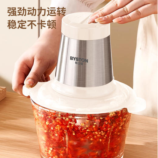 栢士德 不锈钢多能料理机绞肉机 2L BSD-JR102【CZ】 商品图1