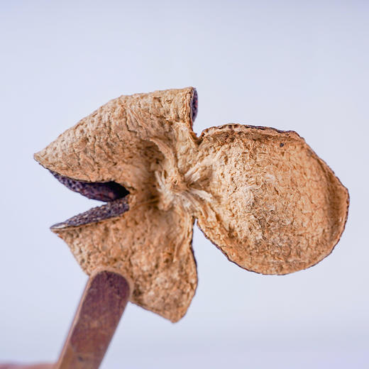 【8折，买5送1】2017《新会陈皮》 50克/罐 新会天马老树圈枝柑 商品图2