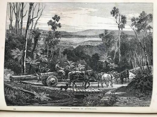 约19世纪后期 罗伯特·布朗宁《世界各国》（卷4） 约百幅版画插图 漆布精装16开 商品图13