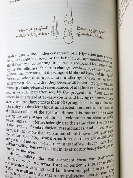 限量版！含藏书票 查尔斯・达尔文《物种起源》 配插图 富兰克林图书馆豪华皮装本 商品图9
