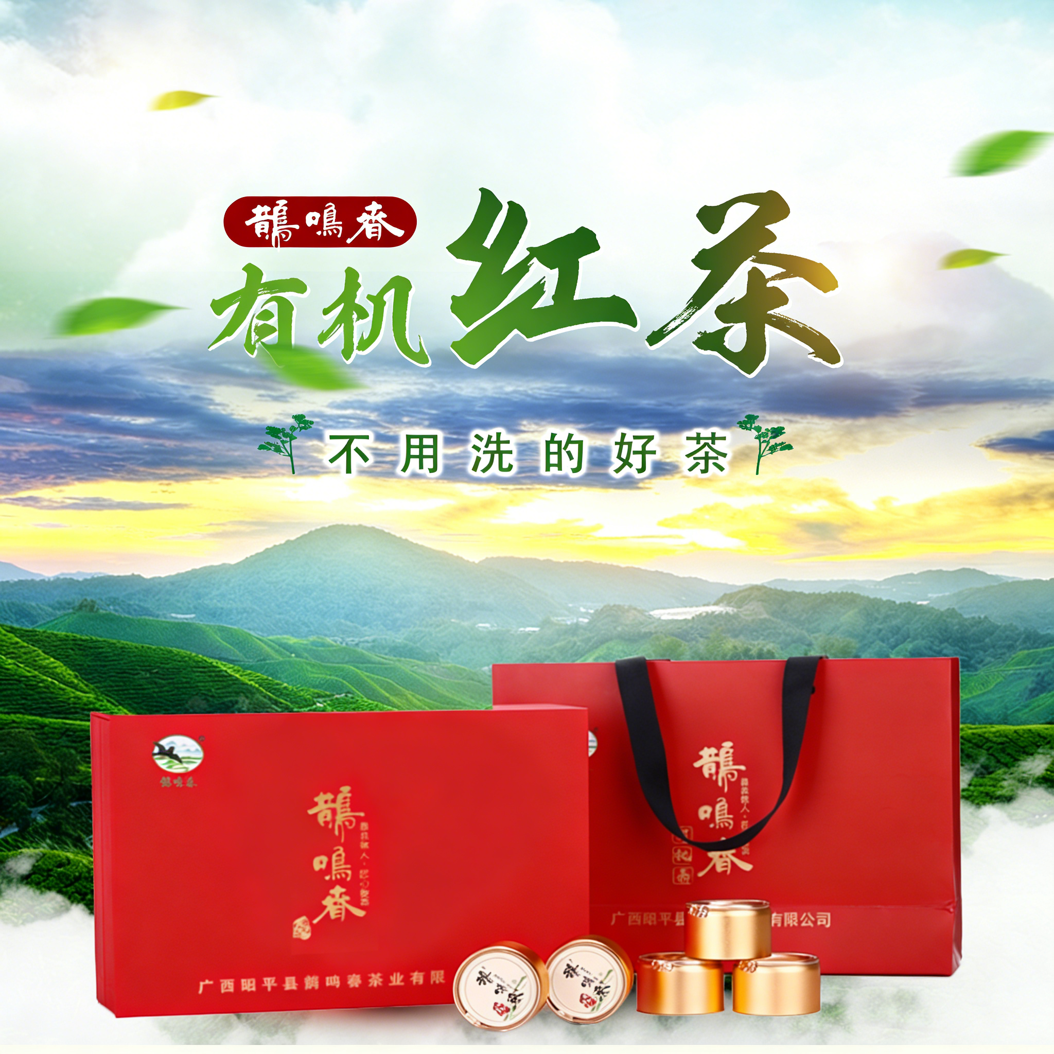 鹊鸣春桂江源有机红茶 |小罐封存昭平春，农残不得检出【清明期间正常发货】