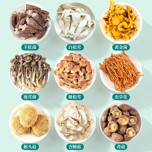 菌菇汤料包煲汤料炖汤炖鸡汤补品材料月子乌鸡鸽子云南七彩菌汤包 商品图2