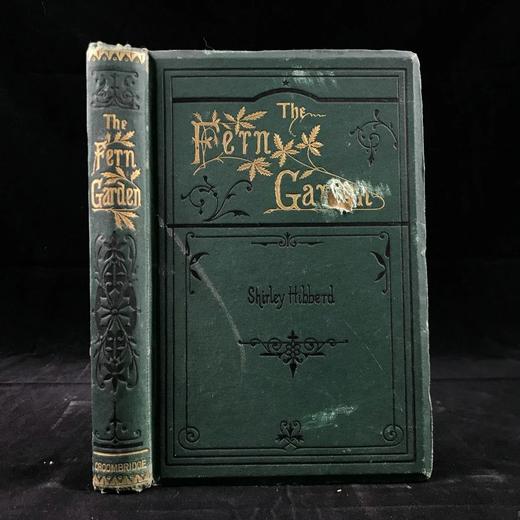 1881年 蕨类植物园艺指南 数十幅插图（含彩色） 漆布精装32开 商品图0
