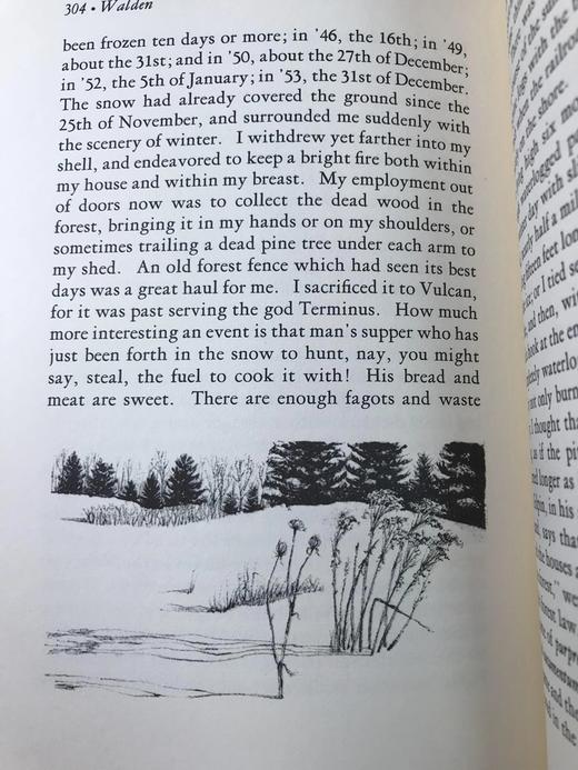 限量版！亨利・戴维・梭罗《瓦尔登湖》 配插图 富兰克林图书馆豪华皮装本 商品图9