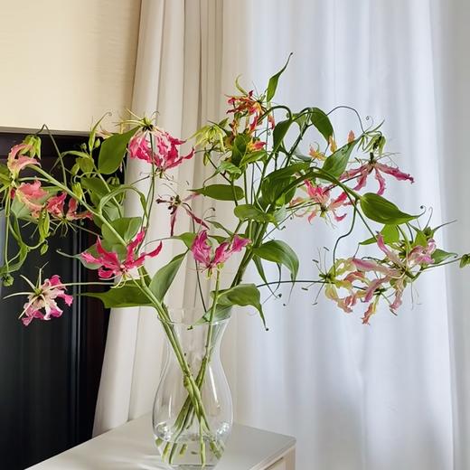 嘉兰丨混色 商品图0