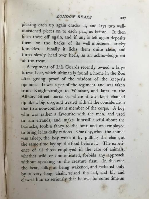 1906年 动物园生活 16幅插图 漆布精装32开 商品图12