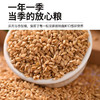 买1送1 有机亚麻籽粉250g/罐    A-5434 （效期26-10左右） 商品缩略图3